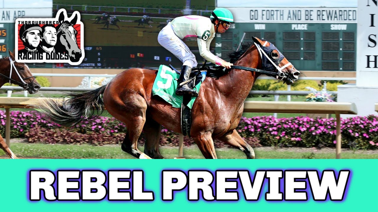 2023 Rebel Stakes Preview & FREE Picks GIANT MISCHIEF Makes 2023