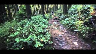 Border Collie Runs Through MTB Trail