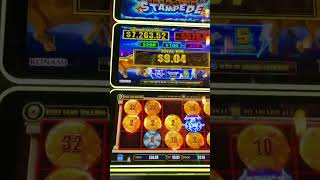 2 cent bet 💥Bull Rush Stampede Jackpot💥chase💰Did I get the Jackpot?!!😜 So Exciting🎉🎉🎉