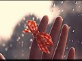 انشودة ياليت الورد مايذبل تصميم 