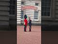 Changingoftheguard Grenadiers Queensgurkhaengineers Kingsguard Buckinghampalace Gurkhas Changingoftheguard Grenadiers Queensgurkhaengineers Kingsguard Buckinghampalace Gurkhas