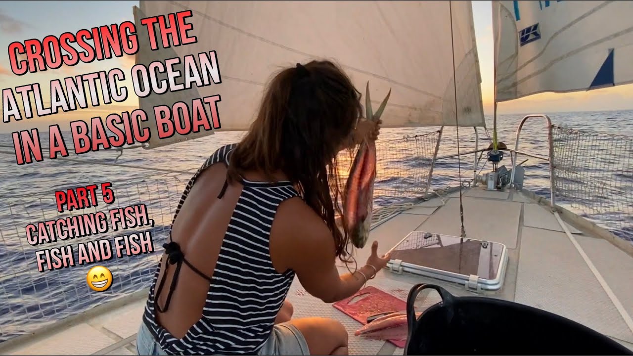 Sailing across the Atlantic in a basic boat part 5, catching fish, fish and fish 😁