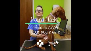 How to Clean Your Dogs Ears by White Cross Vets 2,822 views 5 years ago 1 minute, 1 second