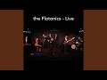 Betcha By Golly Wow (Live)
