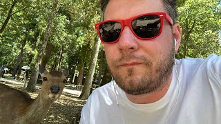 WE GOT ATTACKED BY DEER 🦌 Japan is Crazy Cool!
