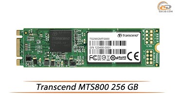 Transcend MTS800 256 GB: SSD-drive review