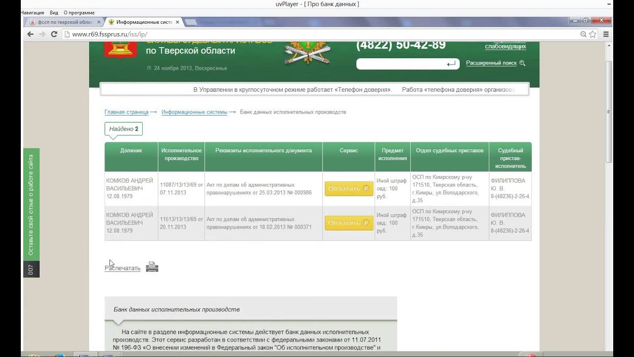 Какие банки дают данные приставам. Банк данных исполнительных производств Челябинская область. Программное обеспечение ФССП. Интерфейс программы для судебного пристава. Банк данных.