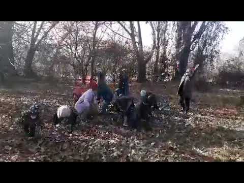 კარბის საჯარო სკოლის მოსწავლეებმა შემეცნებით-სახალისო აქტივობა - „ოქროსფერი შემოდგომა“ განახორციელეს