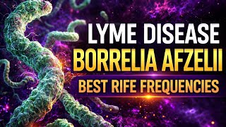 Lyme Disease: Borrelia Afzelii Rife Frequencies | 42 min Healing | Dual Octave Resonance