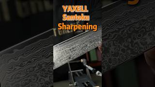 Sharpening a YAXELL Santoku with the Cheefarcut Guided Sharpener #sharpening #knifesharpener
