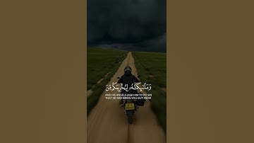 إكتب ماتـــؤجرعليه يوم القيامة #قرآن #تلاوة_خاشعة