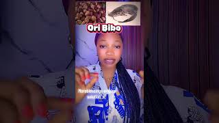 BIBO ISEDA RE