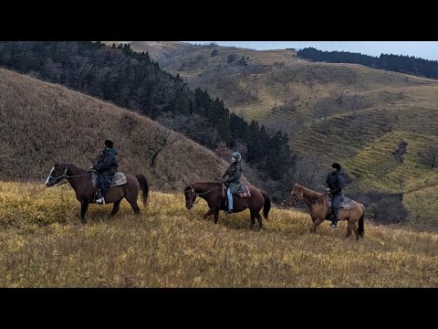 Miso Dengaku and Horse Riding in Aso, Kumamoto | Aso Trip 2023.11