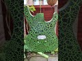 clear coating before the storm comes #guitarmods #metalguitar #espltd #guitar