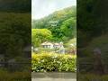 Driving Through the Countryside of Japan 🇯🇵🌿