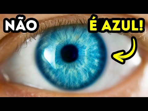 Vídeo: Quais são as chances de ter olhos azuis?