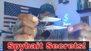 Spybait Tips - Fall Fishing Best Kept Secrets!