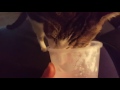 Cat licking a glass real close up
