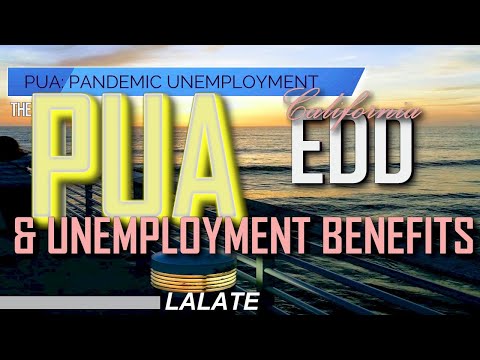 UNEMPLOYMENT PUA Benefits SECURITY BREACH ?! Unemployment PUA Benefits Payment KY Update DELAYED! ?