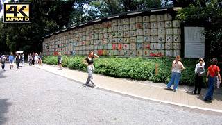 EXPLORE Tokyos BEST Kept SECRET Meji Jingu Temple