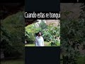 de chill 🥶🤙 #memes #funny #shorts #linkinpark #chill