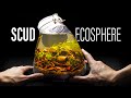 Botanical Scape Scud Ecosphere