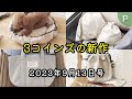 【ヌビシリーズ・ペットグッズ】3COINSの最新商品ラインナップ・発売日情報 2023年9月13日号