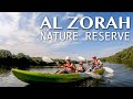 Mangrove Kayak Tour at AL ZORAH NATURE RESERVE || QUEST FOR ADVENTURE || Ajman, UAE