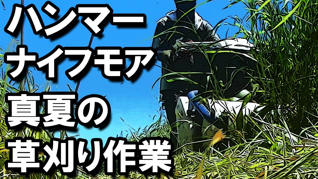ハンマーナイフモア・真夏の草刈り ISEKIアグリ・HR665 - YouTube