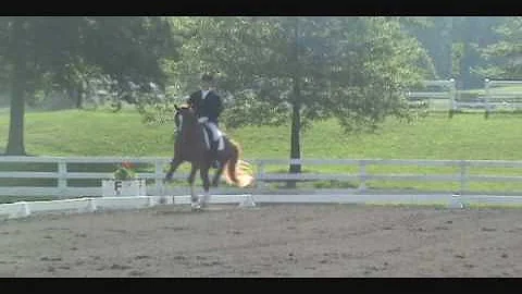 chris schruefer & de feiner star 4yo.wmv