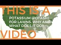 Potash, Potassium, K for lawns... How much do I need and Why?