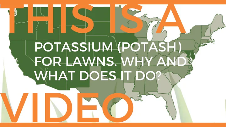 Potash, Potassium, K for lawns... How much do I ne...
