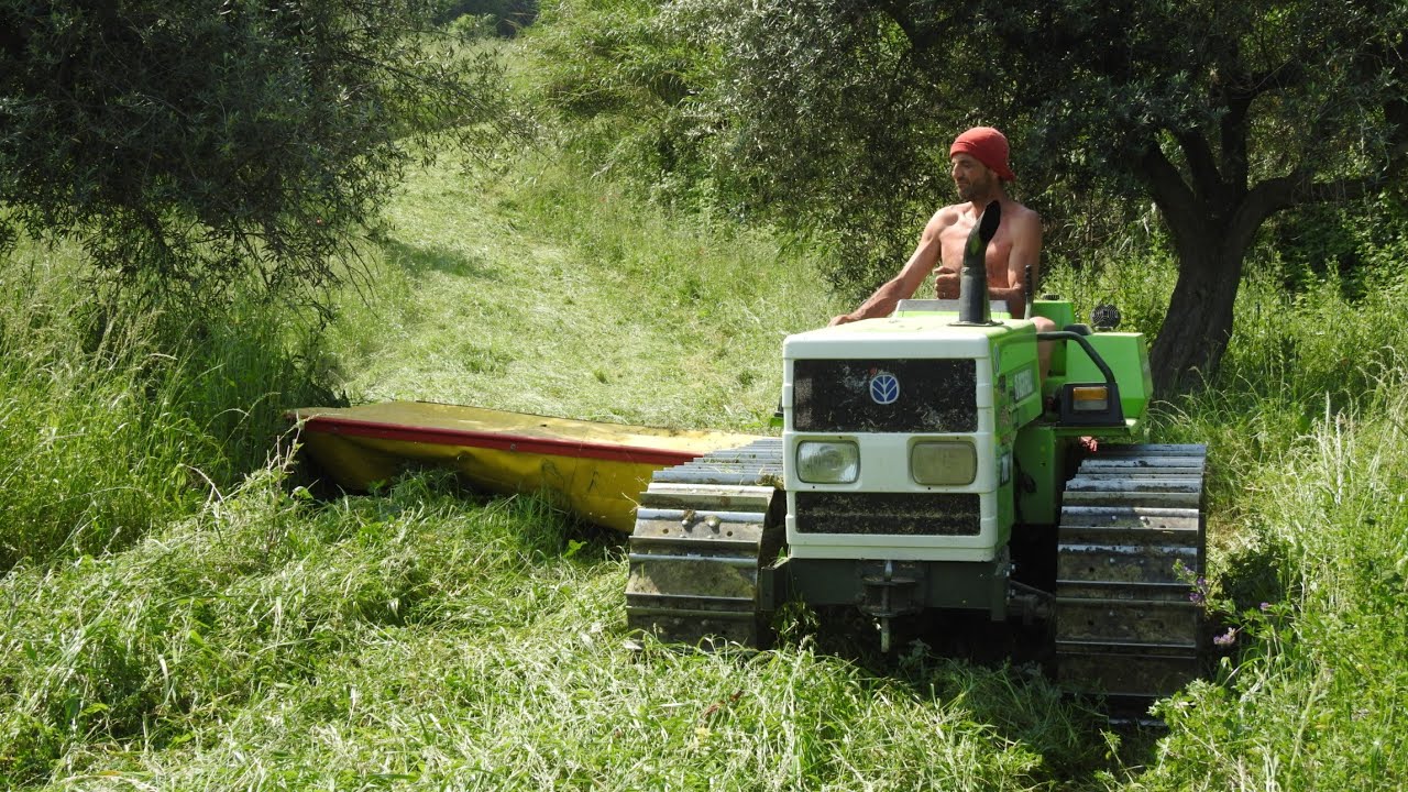 Sfalcio erba medica primo taglio. Agrifull 70C + Fella Ramos 248. [D'Agostino].