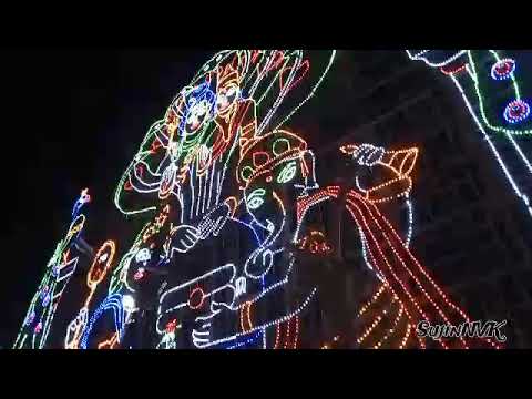 Navaikulam Temple Ulsavam Light Show