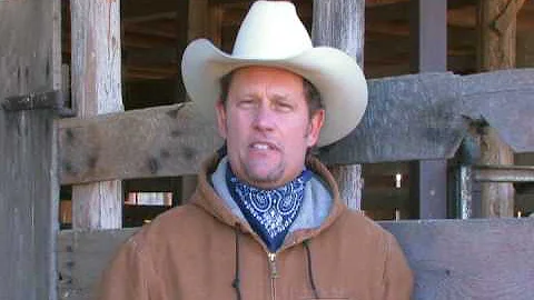 Cowboy Dan's Testimony