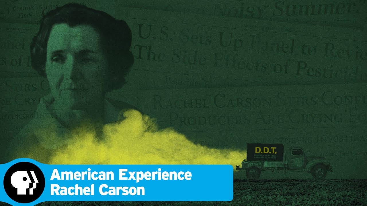 Watch Rachel Carson, American Experience, Official Site