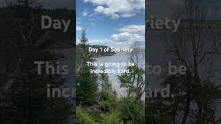 “We’ve decided to get sober for the 27th time…” #sobrietyjourney #ptsd #healingtrauma #sobrietytips
