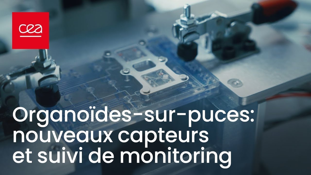 Organoïdes-sur-puces : nouveaux capteurs et suivi de monitoring