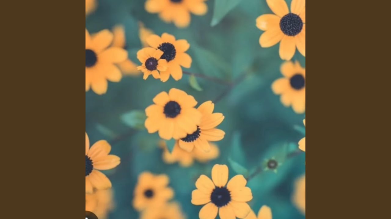 Watch Sun on YouTube Watch Sun on YouTube