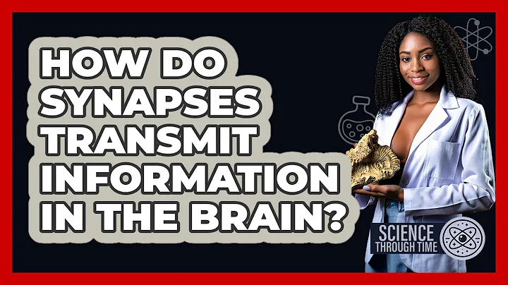 How Do Synapses Transmit Information In The Brain? - Science Through Time