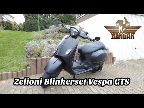 Zelioni Blinker für
