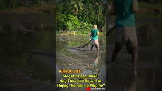 MAGSASAKA SA BUKID: ANG TUNAY NA BAYANI SA HAPAG-KAINAN NG PILIPINO. MAGSASAKA SA BUKID: ANG TUNAY NA BAYANI SA HAPAG-KAINAN NG PILIPINO.