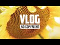 Xad - Feel Good (Vlog No Copyright Music)