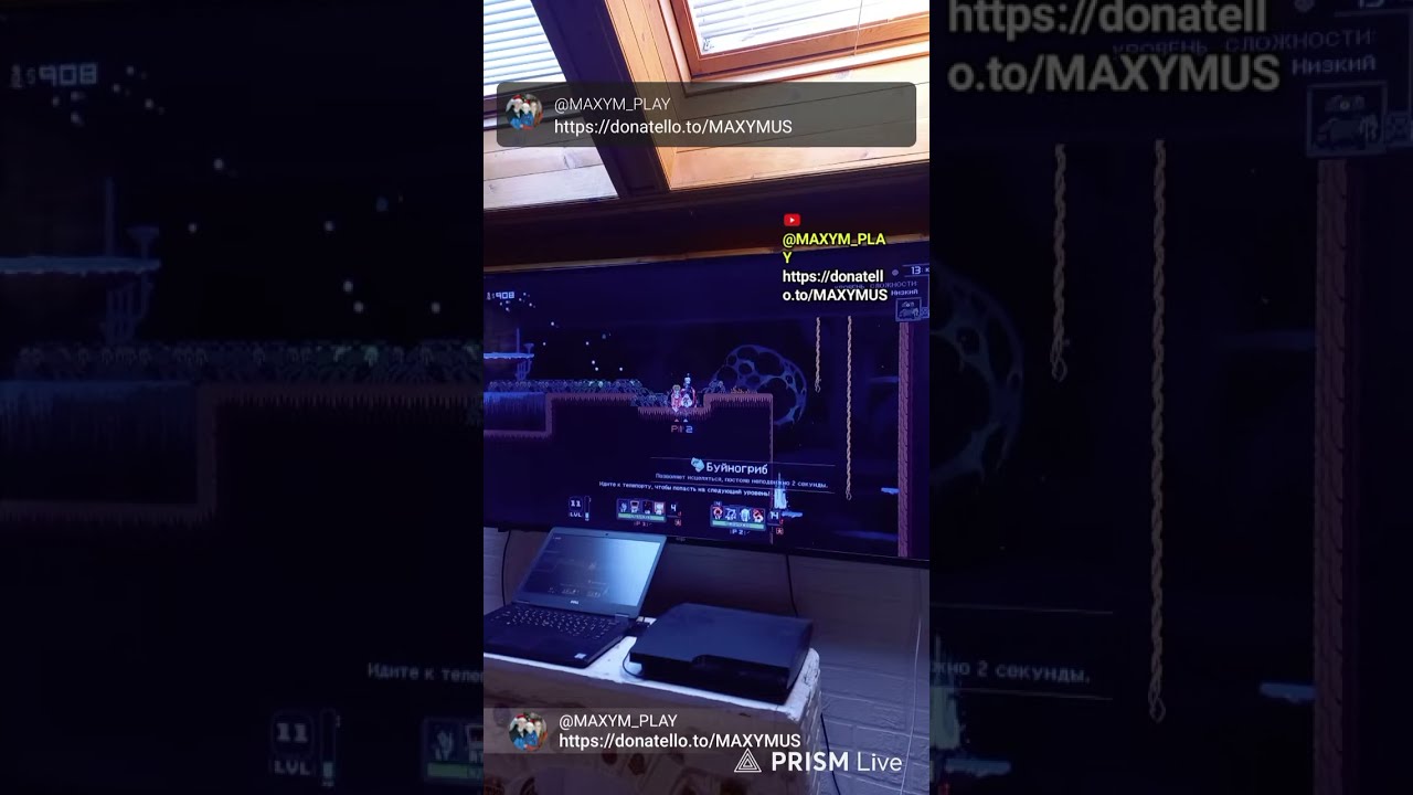 Прямая трансляция MAXYMUS