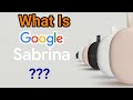 Google sabrina  google sabrina android tv dongle  sabrina google  google android tv dongle