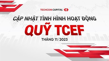Bản tin tình hình hoạt động của quỹ TCEF tháng 11/2023
