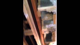 Messed up Deer Valley Modular Home ordered through American