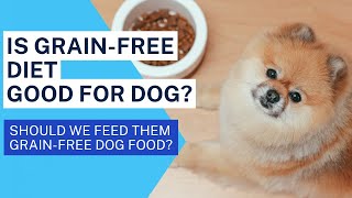 Is Grain-Free Diet Good For Dog?