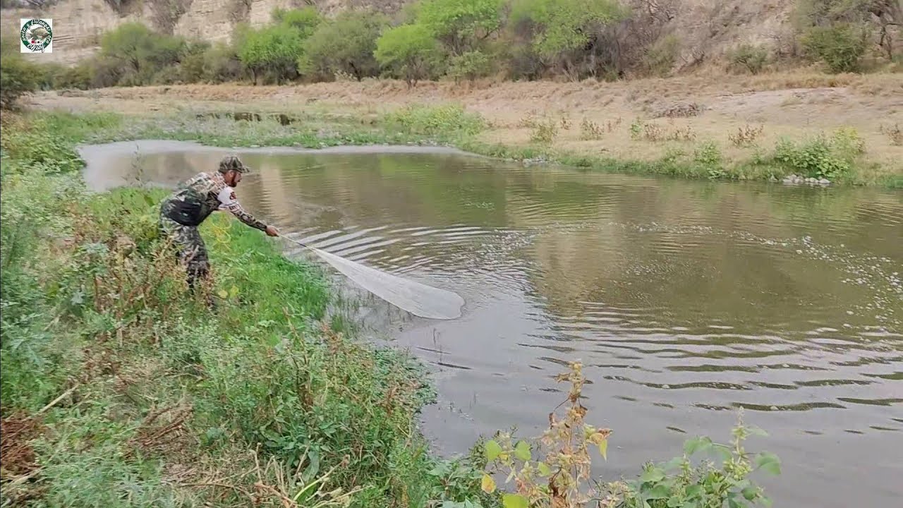 Mira lo que salió en este riachuelo en los charcos grandes las coloradas