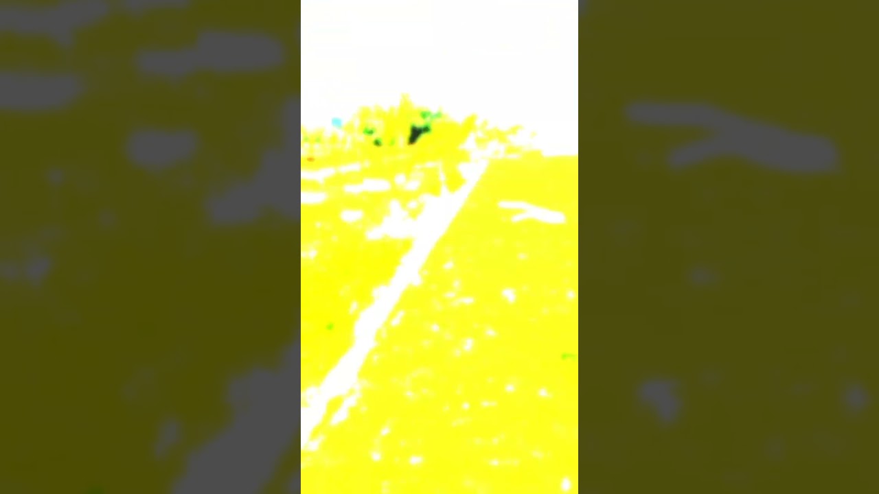 Single Gate Society Amaira Homes //